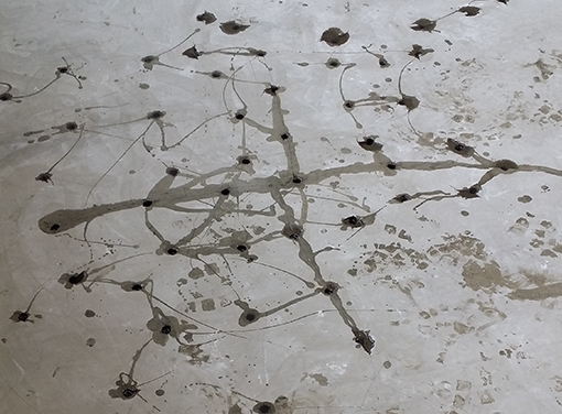 Réparation plancher béton
